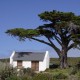 House under a tree in Cape Point Nature Reserve
