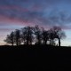 Sunset over Blickling Park, Norfolk